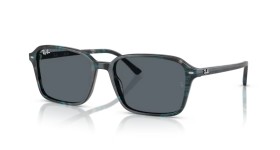 Ray-Ban Raimond RB2231 1417R5 56