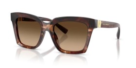 Dolce & Gabbana DG4498 322274 55