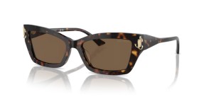 Jimmy Choo JC5011U 500273 55