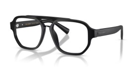 Dolce & Gabbana DG3447 2525 56