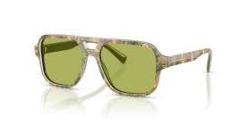 Dolce & Gabbana Kids DX4003 3488/2 50