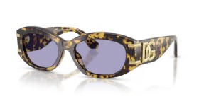 Dolce & Gabbana DG4502 33301A 55