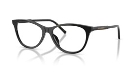 Dolce & Gabbana DG3443 501 53