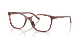 Dolce & Gabbana DG3424 3444 54