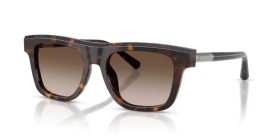 Dolce & Gabbana DG4521 502/13 52
