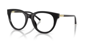 Dolce & Gabbana DG3433 501 51