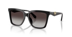 Michael Kors Menaggio MK2256U 30058G 55