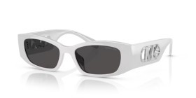 Michael Kors Rhodes MK2243U 402387 52