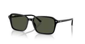 Ray-Ban Raimond RB2231 901/31 58