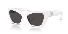 Swarovski SK6047 105087 54