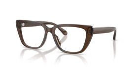 Emporio Armani EA3256U 6251 52