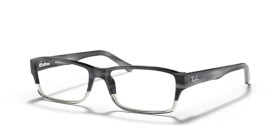Ray-Ban RX5169 5540 54