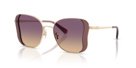 Coach HC7188 900570 50