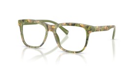 Dolce & Gabbana Kids DX3356 3488 49
