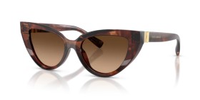 Dolce & Gabbana DG4497 322274 52
