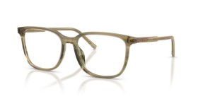 Dolce & Gabbana DG3445 3480 53