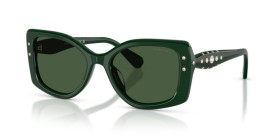 Swarovski SK6058U 102671 54