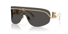 Dolce & Gabbana DG2320 02/87 40