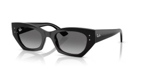 Ray-Ban Zena RB4430 667711 52