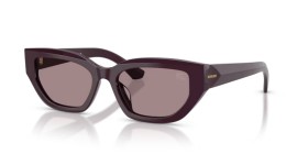 Burberry BE4463D 3400LA 54