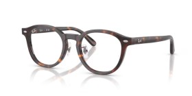 Ray-Ban RX5443D 2012 49