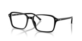 Ray-Ban Raimond RB2231 901/GG 58