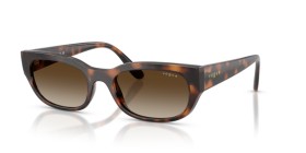 Vogue VO5669S 271813 54