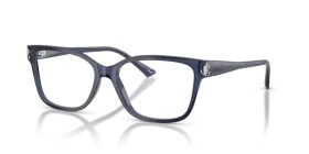 Jimmy Choo JC3012 5035 55
