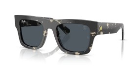 Ray-Ban RB2217M F70387 53