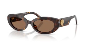 Dolce & Gabbana DG4537 502/73 53