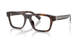 Dolce & Gabbana DG3446 502 53