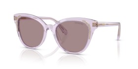 Swarovski SK6031 1079LA 53
