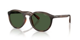 Polo PH4232U 597471 53