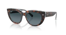 Ray-Ban Doreen RB2286 1413S3 49