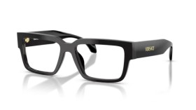 Versace VE3374U GB1 55