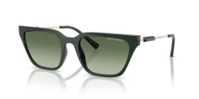 Armani Exchange AX4158S 83828E 55