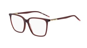 Hugo Boss HG 1381 LHF 55