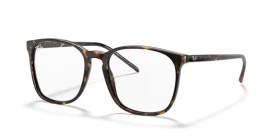 Ray-Ban RX5387 2012 54