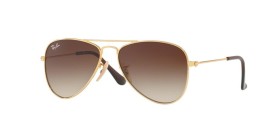Ray-Ban Junior Junior Aviator RJ9506S 223/13 52