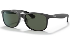 Ray-Ban Andy RB4202 606971 55