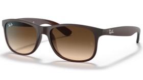 Ray-Ban Andy RB4202 607313 55