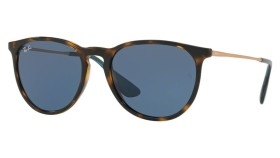 Ray-Ban Erika RB4171 639080 54