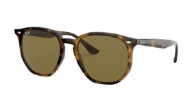 Ray-Ban RB4306 710/73 54