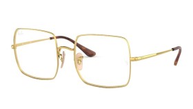 Ray-Ban RX 1971V 2500 54