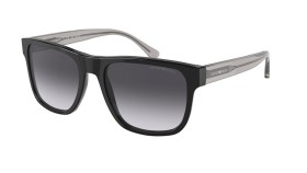 Emporio Armani EA4163 58758G 56