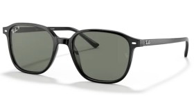 Ray-Ban Leonard RB2193 901/58 53