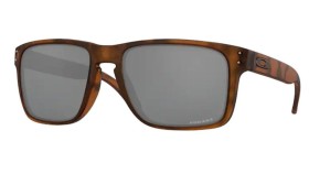Oakley Holbrook xl OO9417 941702 59
