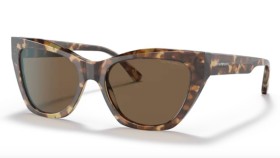 Emporio Armani EA4176 502573 54