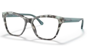 Emporio Armani EA3193 5097 52
