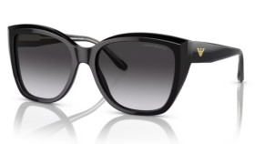 Emporio Armani EA4198 50178G 55
